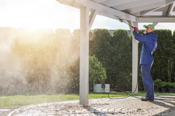 Best Pre-Holiday Cleaning  in Shawneeland, VA