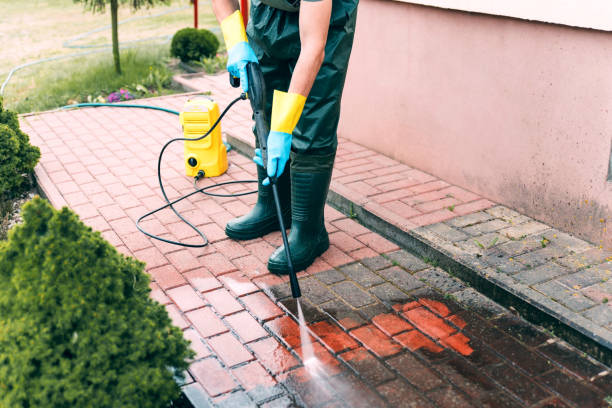 Best Roof Washing  in Shawneeland, VA